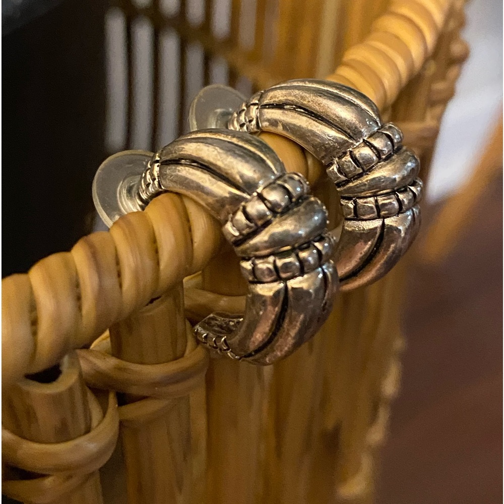Premier Designs La Vista Silver Plated Hoop Earrings